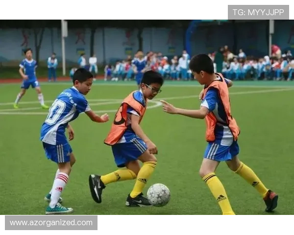 三升体育推动青少年体育教育公平的具体措施与成效